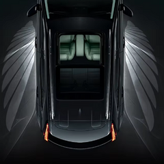 LED "Aripi de Înger" pentru oglinzi auto - WingShine